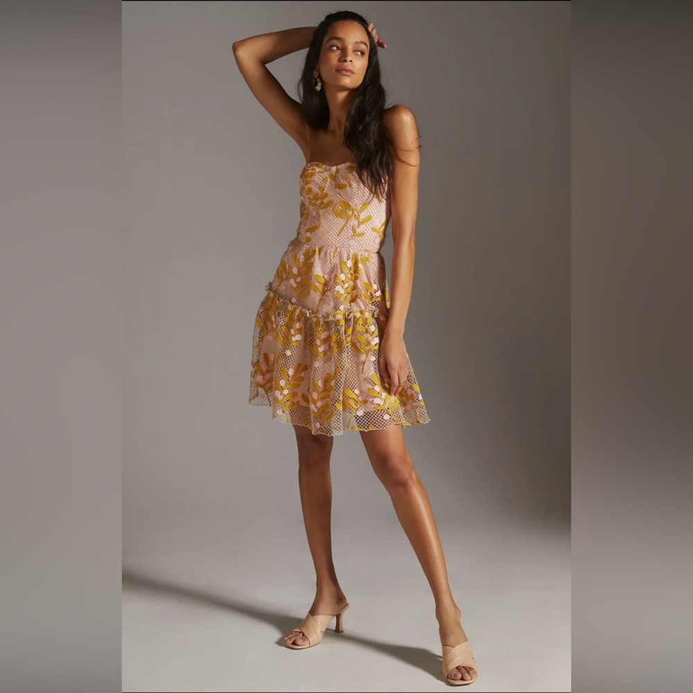 Eva Franco Anthropologie Floral Lace Mini Dress Womens Size 0